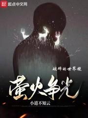 萤火争光,破碎的世界镜草稿