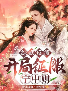 综武反派：开局征服宁中则