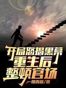 开局怒揭黑幕，重生后整顿官场