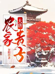 穿越大唐：农家子弟挣钱忙