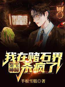 鉴宝神瞳：我在赌石界杀疯了