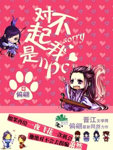 对不起我是npc[网游]