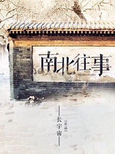 南北往事